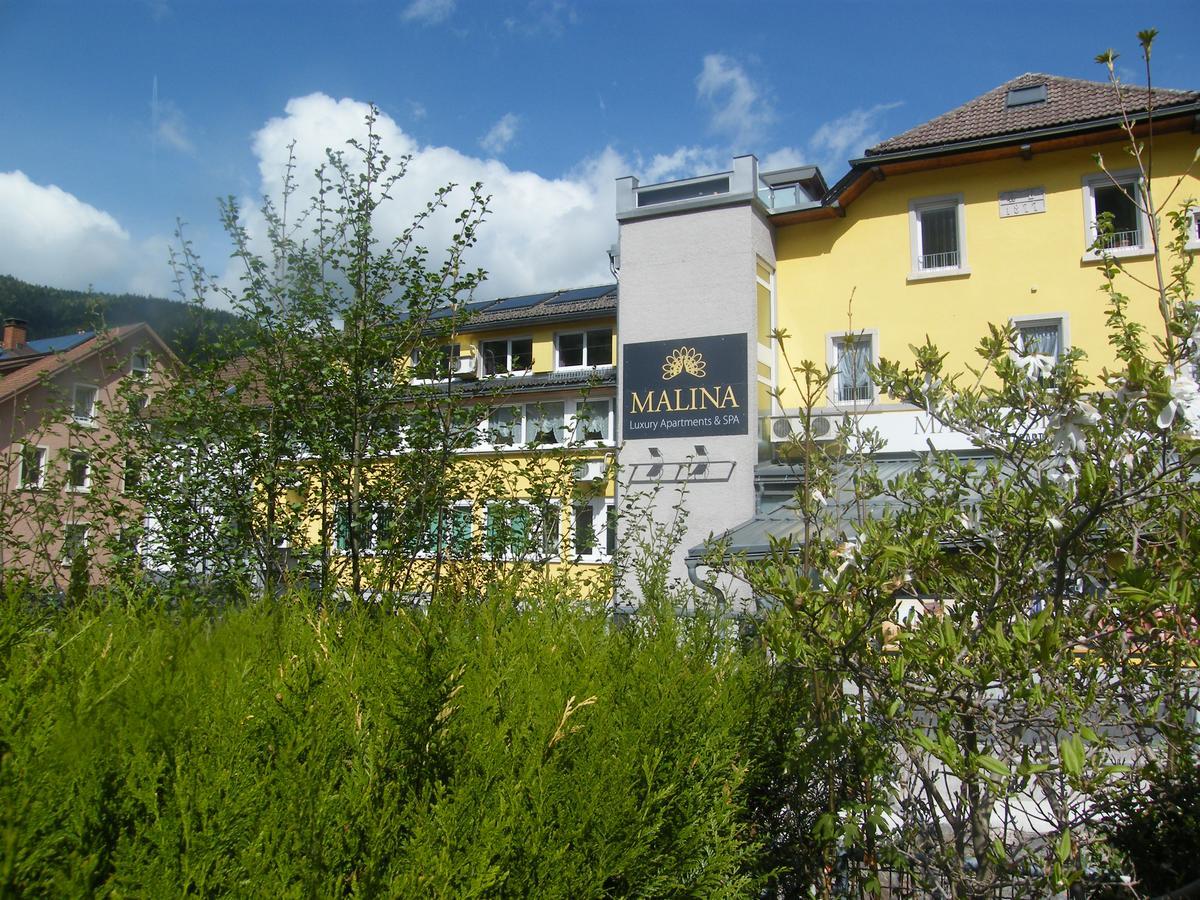 Malina Luxury Apartments And Spa Todtnau Eksteriør bilde
